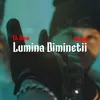 Lumina dimineții