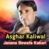 About Janan Bewafa Kakari Song