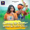 About Kanwar Me Chilam bandh Ke Lele Chale Song