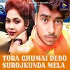 About Tora Ghumai Debo Surojkunda Mela Song