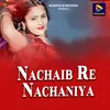 About Nachaib Re Nachaniya Song