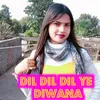 About Dil Dil Dil Ye Diwana Song