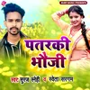 About Patarki Bhauji Song