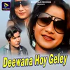 Deewana Hoy Geley