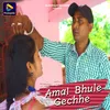 About Amai Bhule Gechhe Song