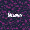 About Blindness Song