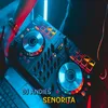 DJ Senorita SLow Bass