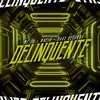 About Delinquente Song