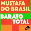 About Barato Total Song