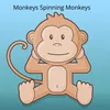 About Monkeys Spinning Monkeys Song