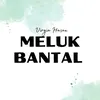 Meluk Bantal