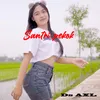 Santri Pekok