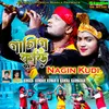 About Nagin Kudi Song