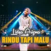 About Rindu Tapi Malu Song