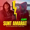 About Sunt amarat, sunt vai de steaua mea Song