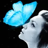 About Blue Butterflies Song