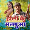 About Holi Ke Malpuaa Song