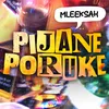 About Pijane poruke Song