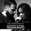 About Sultanto 'E Te So' Nammurato Song