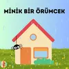 Minik Bir Örümcek