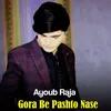 About Gora Be Pashto Nase Song