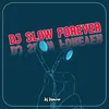 DJ SLOW FOREVER