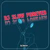 About DJ SLOW FOREVER Song