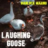 About Laughing Goose Song