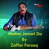 About Meena Jawari Da Song