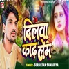 About Dilwa Kadh Lem Song