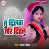 About Tu Dilwa Tor Dihalu Song