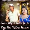About Jaan Mere Patli Se Tu Kyo Na Milne Aawe Song