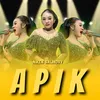 Apik