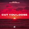 About Cut You Loose Song