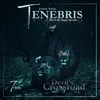 Tenebris Folge 07 - Devil's Crossroad