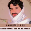 About Raqeb Ghamaz Che Na Wa Tapeze Song