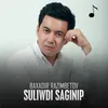 Suliwdi saginip