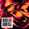 About NEVER LOVE AGAIN Song