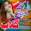 About Dil Kithay Kharayai Gulaab Song