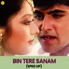 Bin Tere Sanam