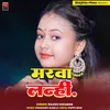 About Bina Kaile Viyah Karwayo Lenhi Song