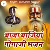 Baja Bajiya Gogaji Bhajan