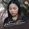 About ขอโทษน้ำตา Song