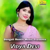 About Vidya Devi Song