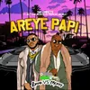 About Areye Papi Song
