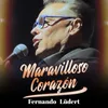 About Maravilloso Corazón Song