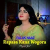 About Rapasa Kana Wogora Falak Naaz Song