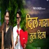 About Dil Maza Tula Dila Song