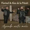 About Agenda vietii mele Song