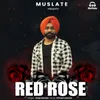 About Red Rose Song